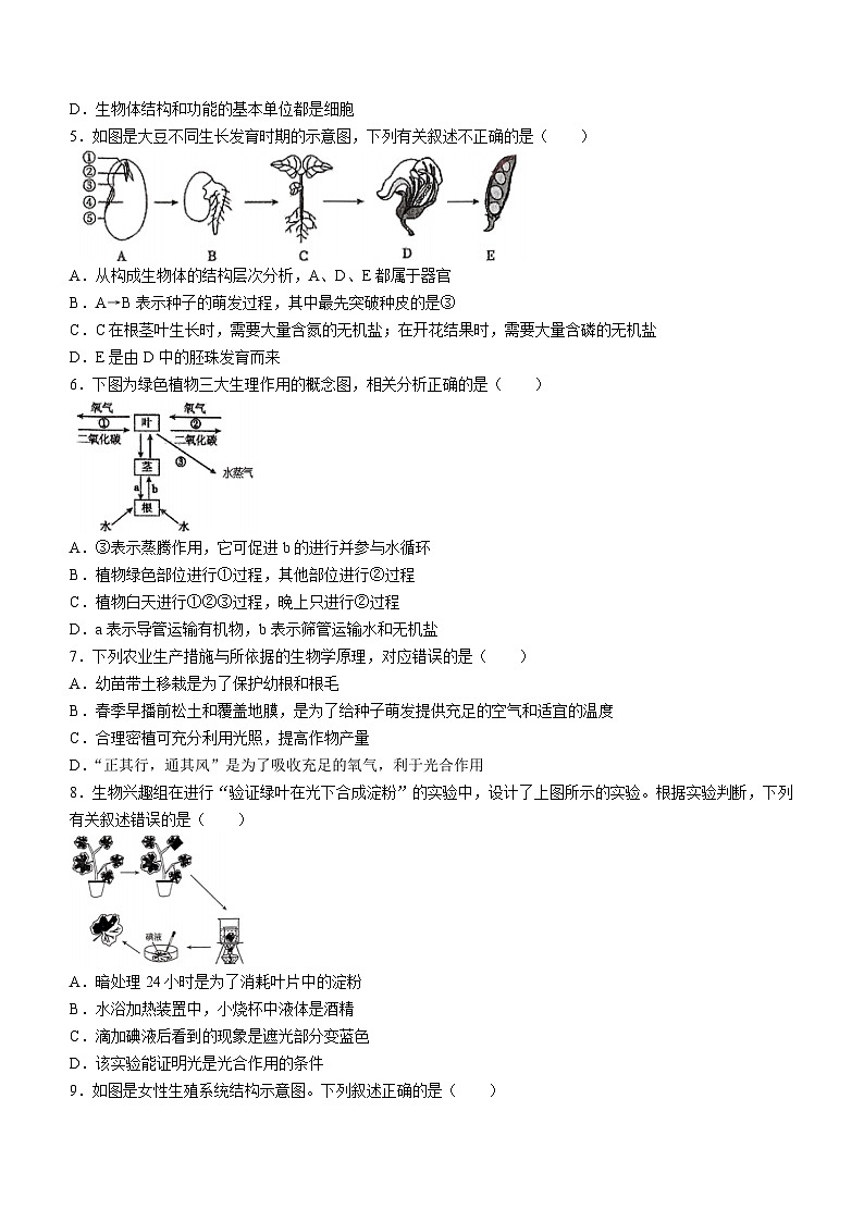 2024年山东省临沂市临沭县中考二模生物试题(无答案)02