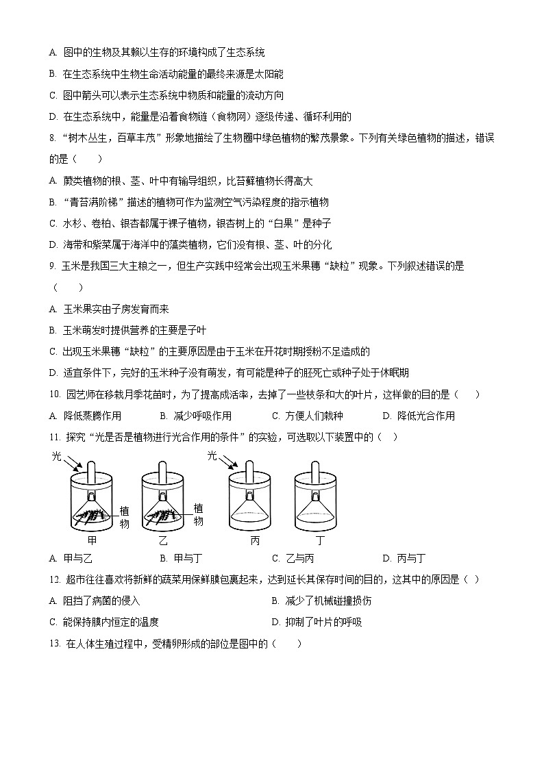 2024年广东省阳江市阳春市中考二模生物试题（原卷版）第2页