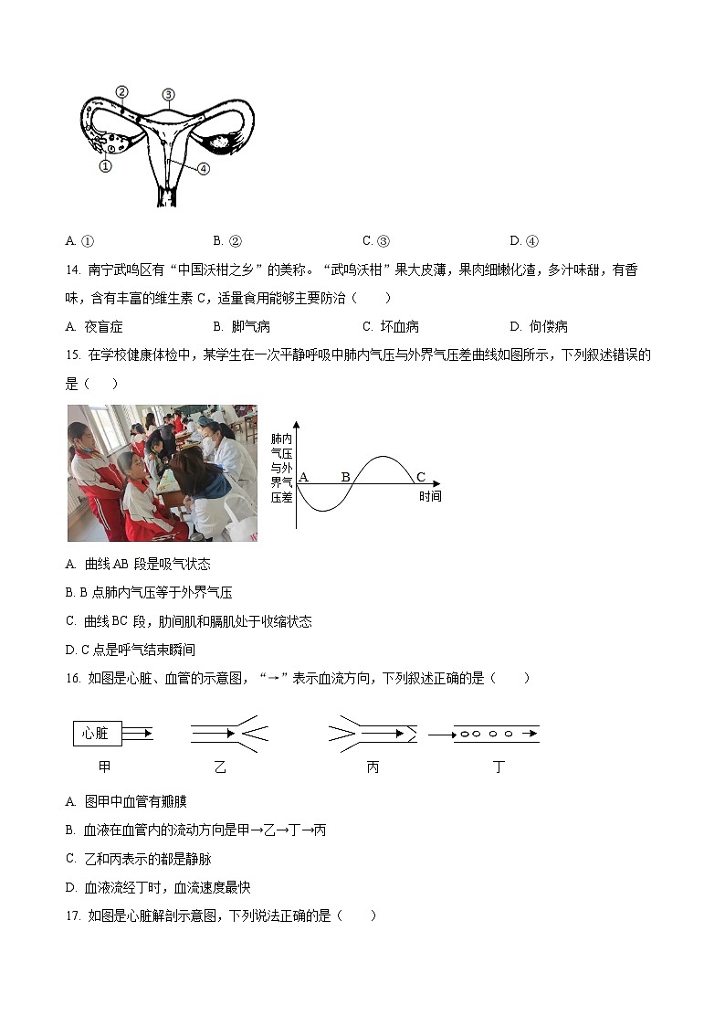2024年广东省阳江市阳春市中考二模生物试题（原卷版）第3页