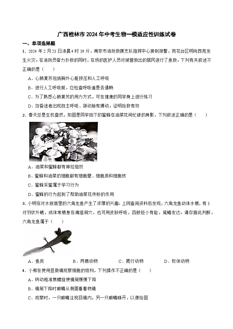 2024年广西桂林市中考一模适应性训练生物试卷01