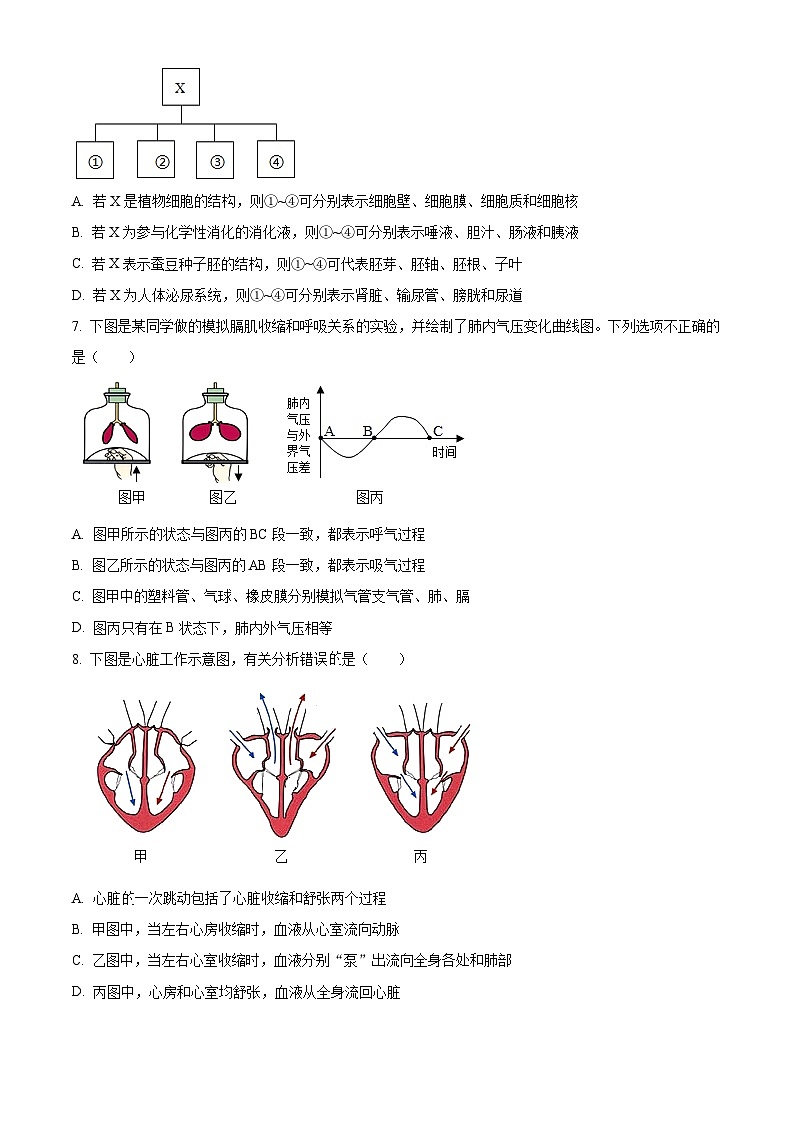 2024年河南省周口市郸城县中考二模生物试题（原卷版）第3页