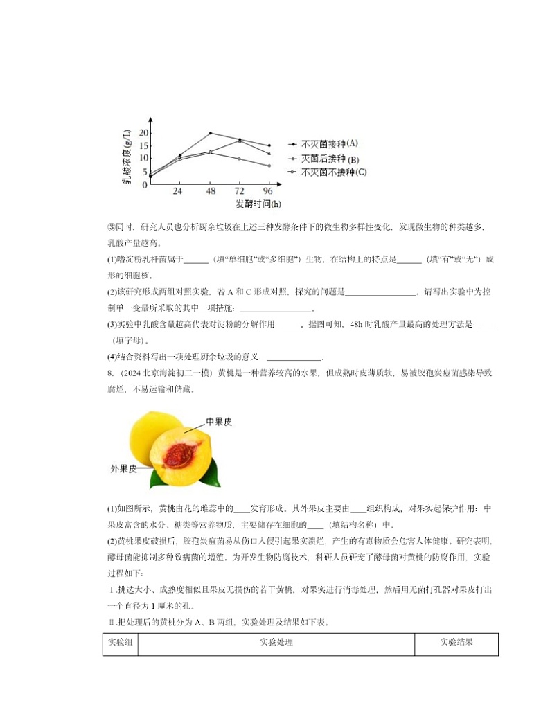 2022～2024北京初二一模生物试题分类汇编：真菌02