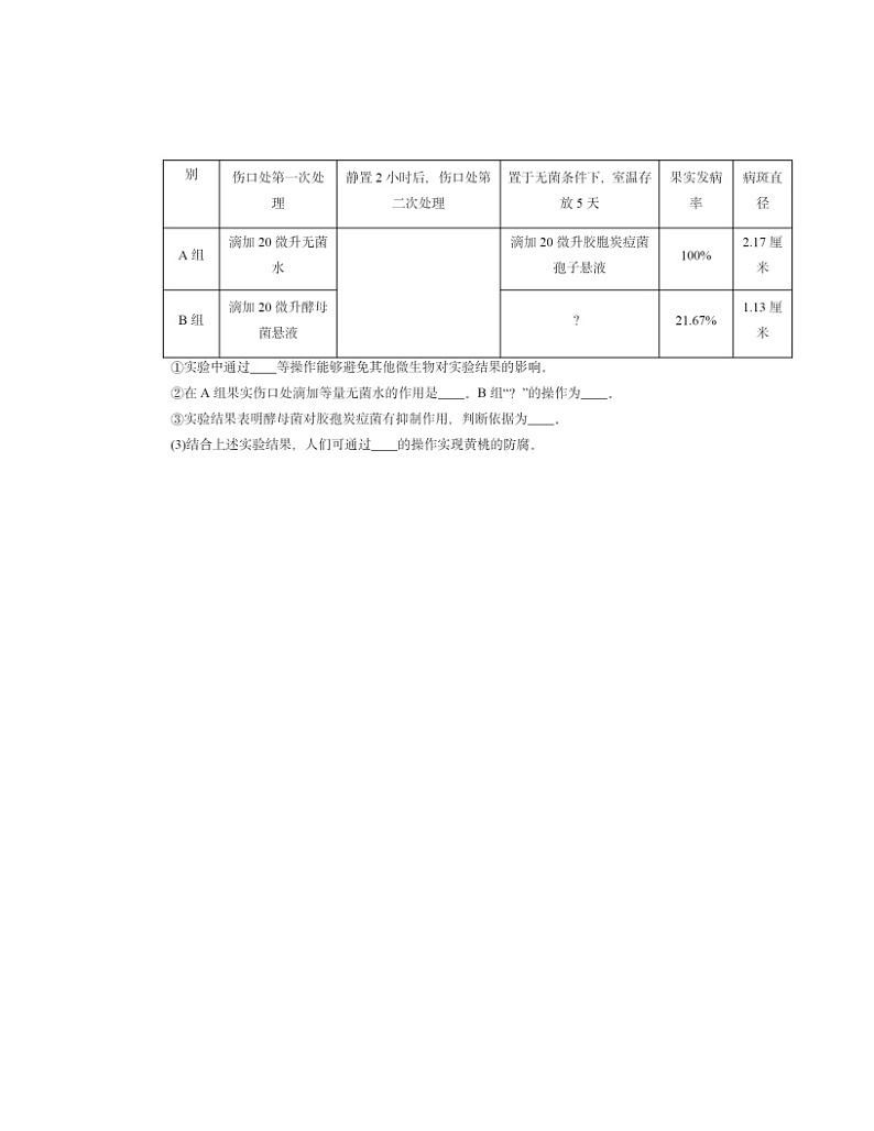 2022～2024北京初二一模生物试题分类汇编：真菌03
