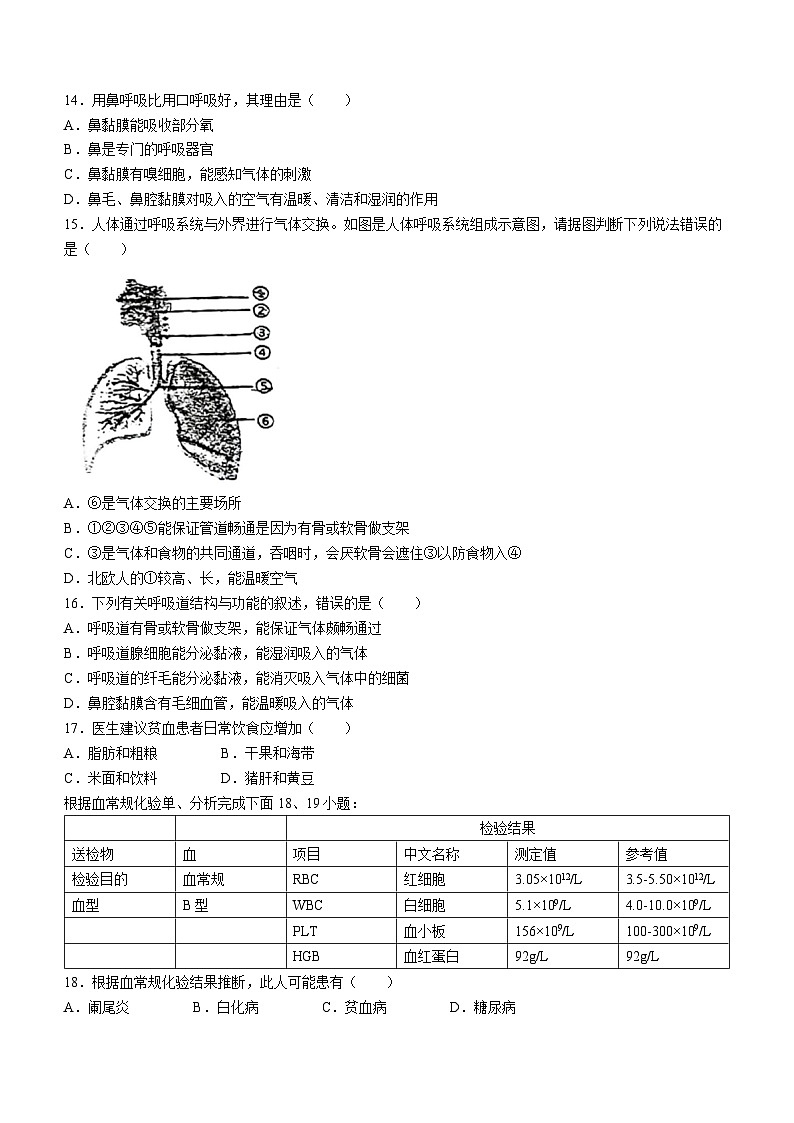 06，2024年广东省东莞市塘厦金桂园学校七年级下学期4月份生物段考试卷(无答案)第3页