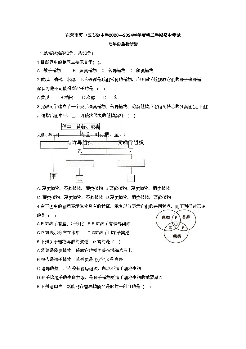 11，山东省东营市河口区实验中学2023—2024学年七年级下学期期中考试生物试题第1页