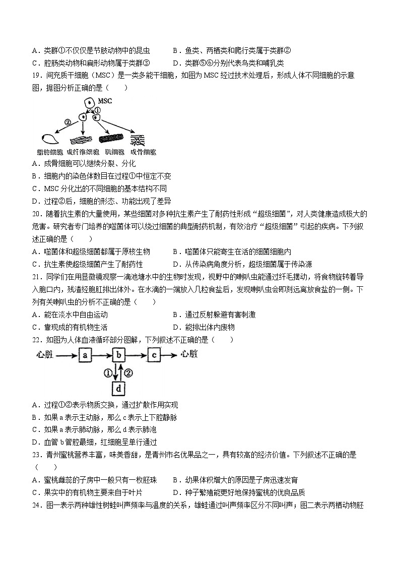 12，2024年山东省日照田家炳实验中学中考二模生物试题(无答案)03