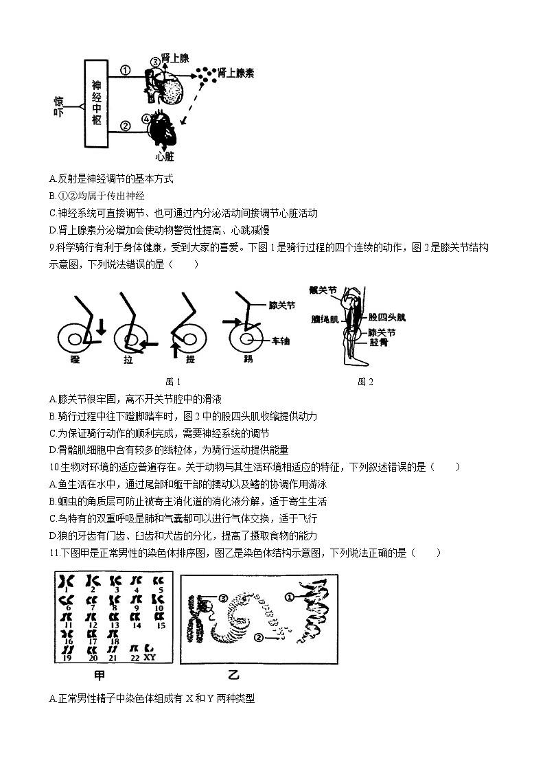 2024年山东省泰安市岱岳区中考二模生物试卷03