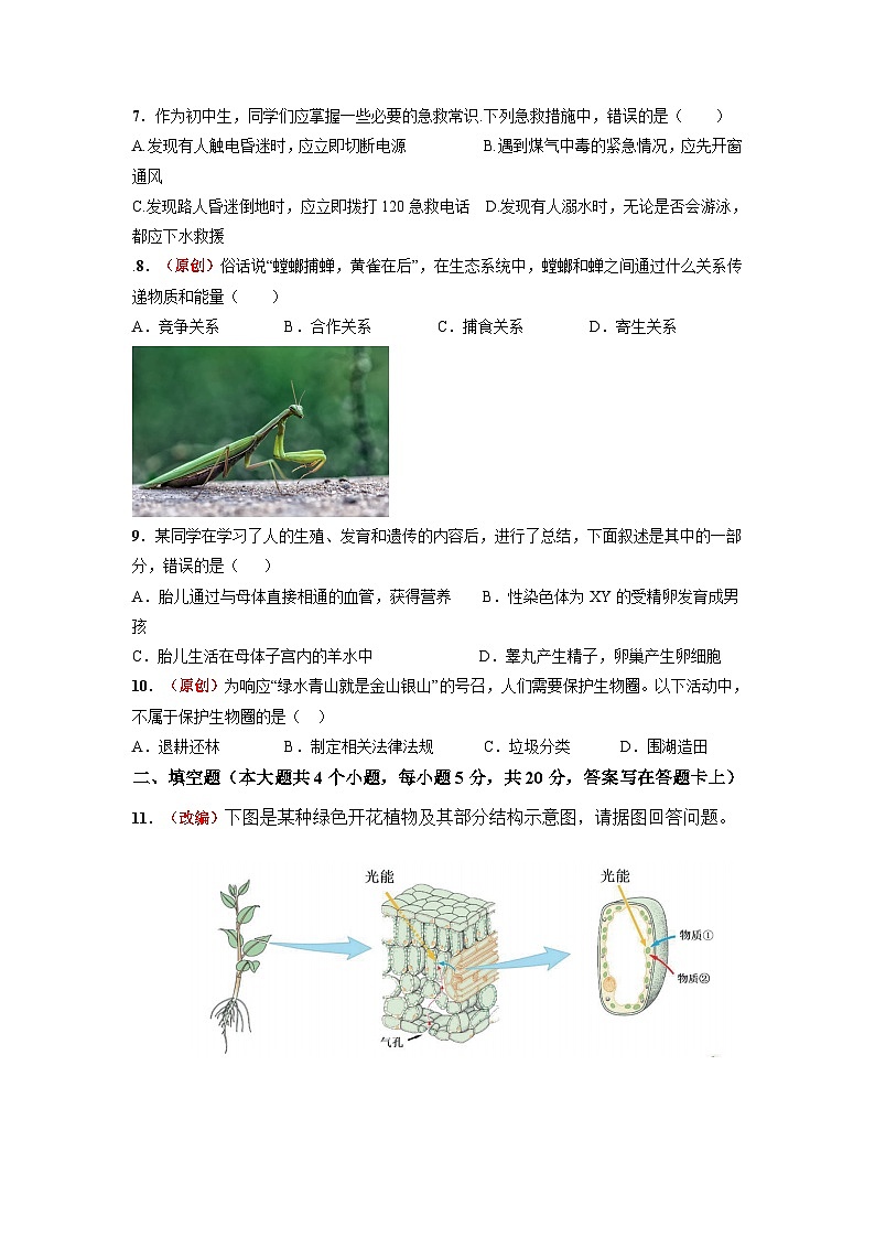 2023年中考考前押题卷：生物（安徽卷）（考试版）a4第2页