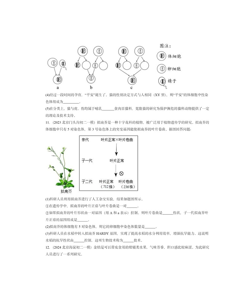 2022～2024北京初二一模生物试题分类汇编：现代生物技术的发展第3页