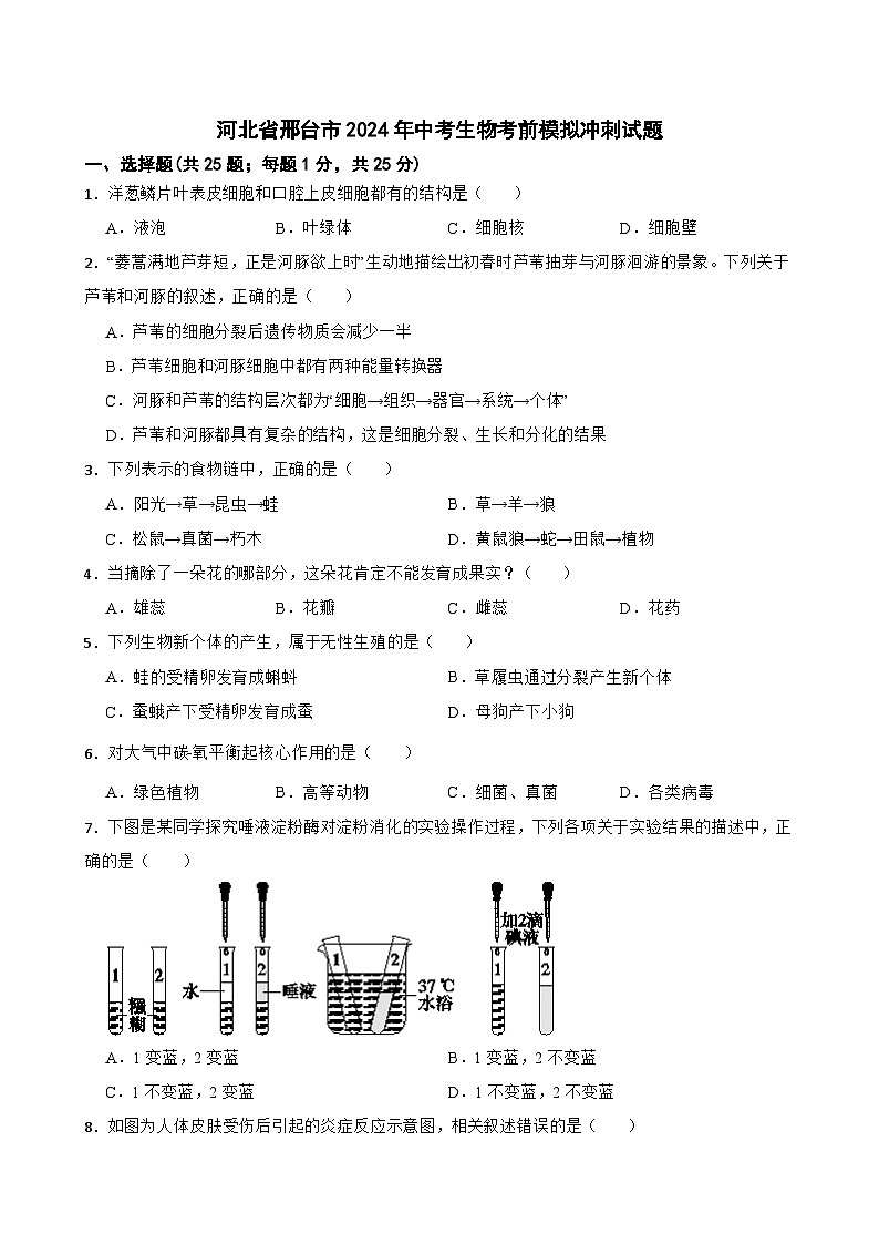 河北省邢台市2024年中考生物考前模拟冲刺试题01