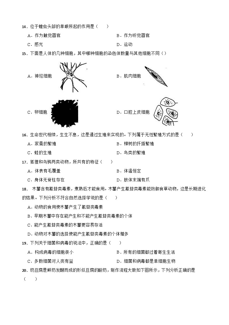 河北省邢台市2024年中考生物考前模拟冲刺试题03