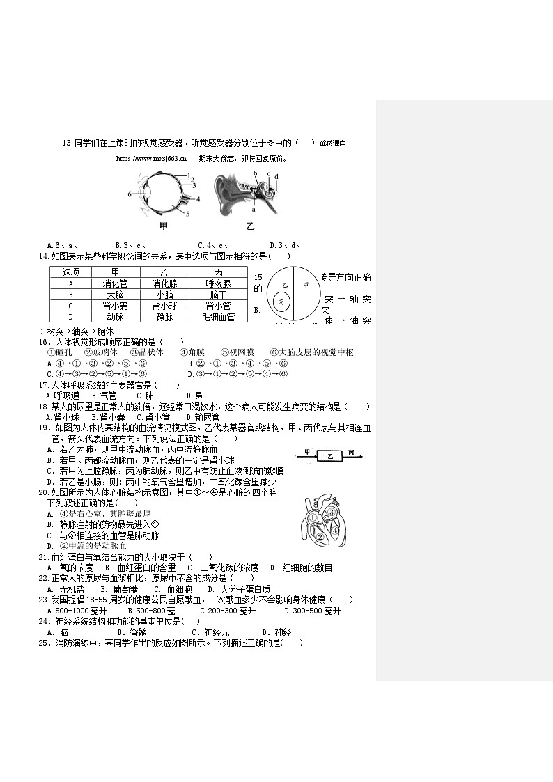 02，福建省龙岩市上杭县第三中学2023-2024学年七年级下学期第二次月考生物试题第2页