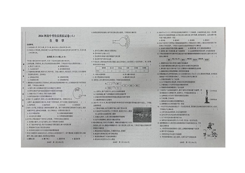 11，河南省安阳市滑县师达学校2023-2024学年八年级下学期5月月考生物试题01