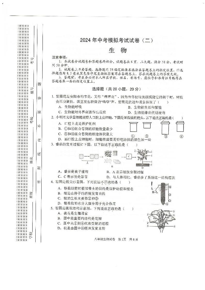 12，2024年河南省安阳市中考二模生物试题01