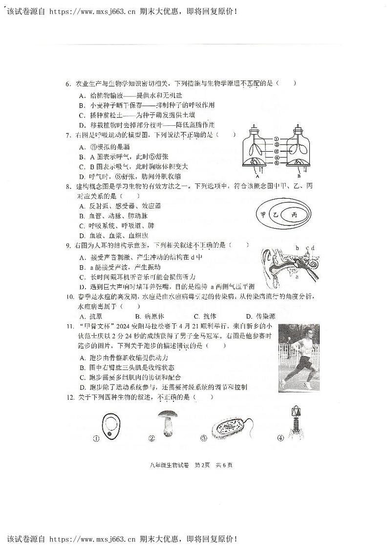 12，2024年河南省安阳市中考二模生物试题02