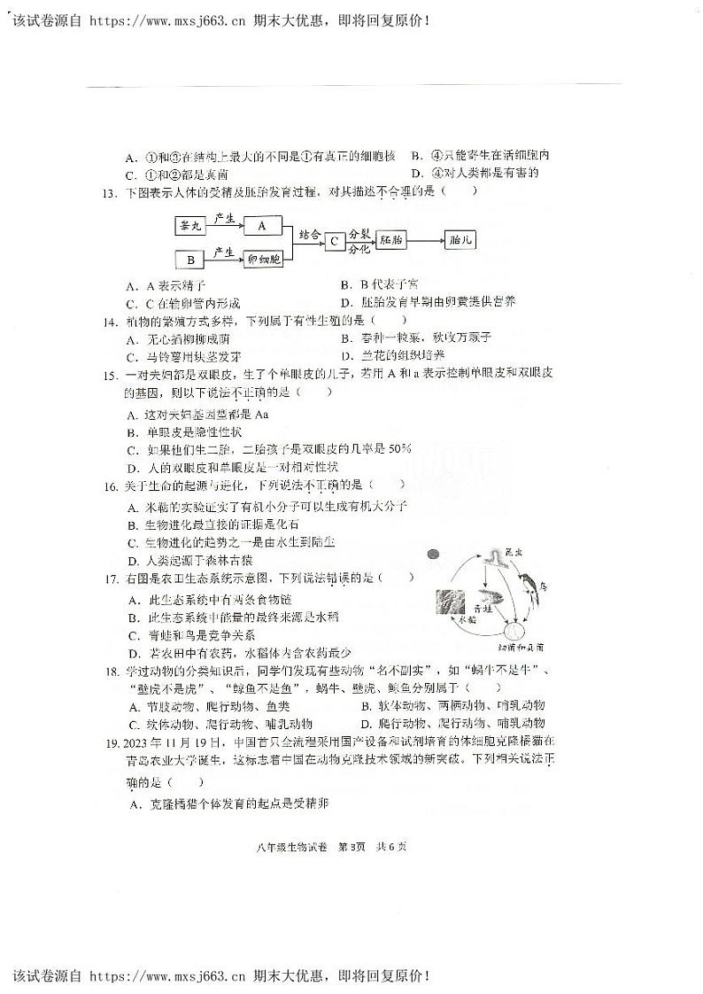 12，2024年河南省安阳市中考二模生物试题03