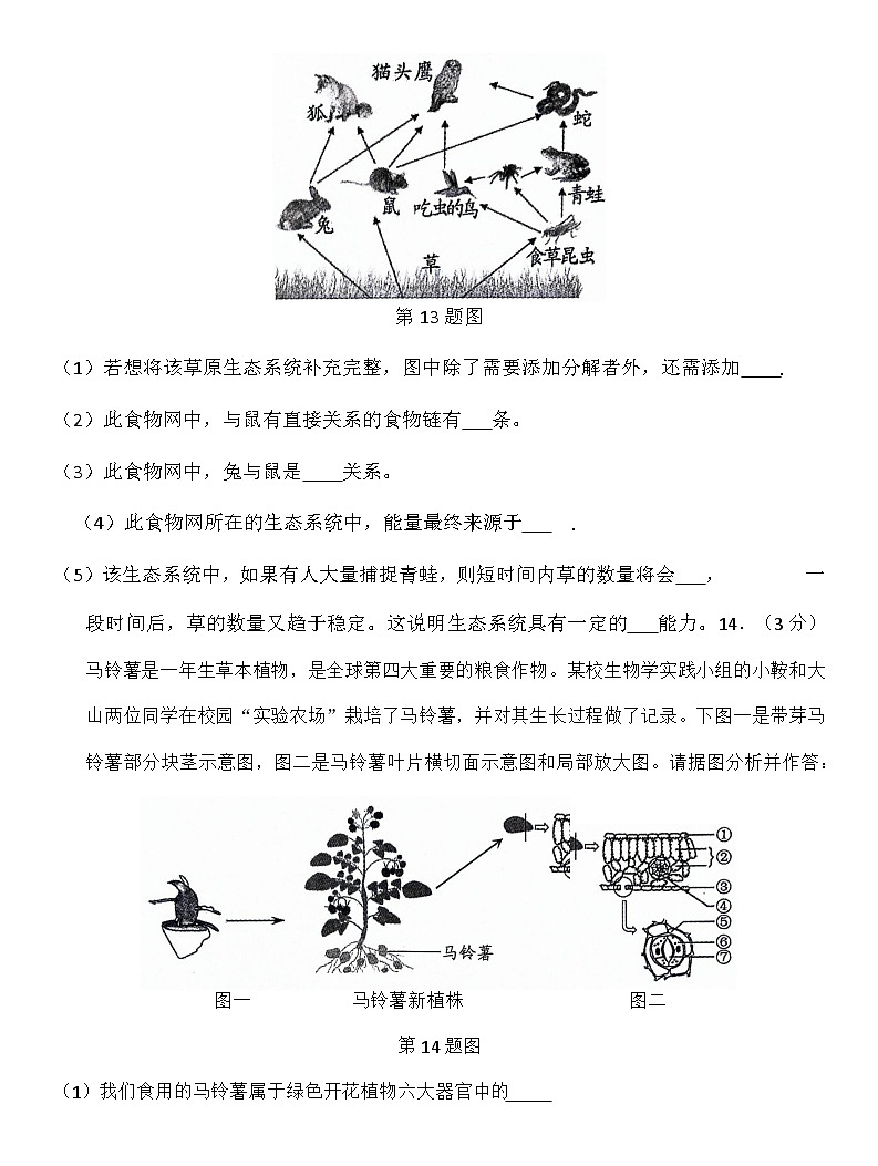 13，2024年辽宁省鞍山市八年级中考二模生物试题03