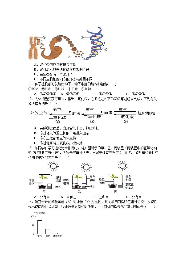16，2024年河南省信阳市固始县中考三模生物试题第3页