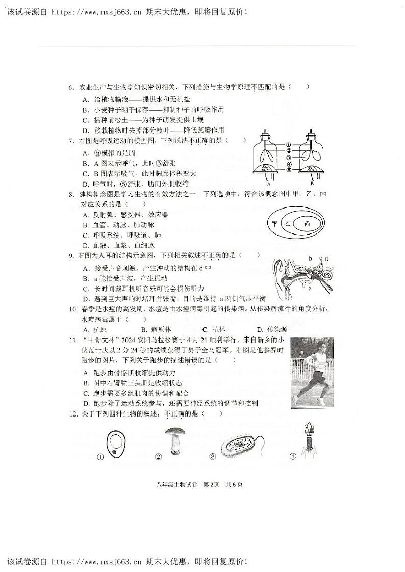 28，2024年河南省安阳市中考二模生物试题02