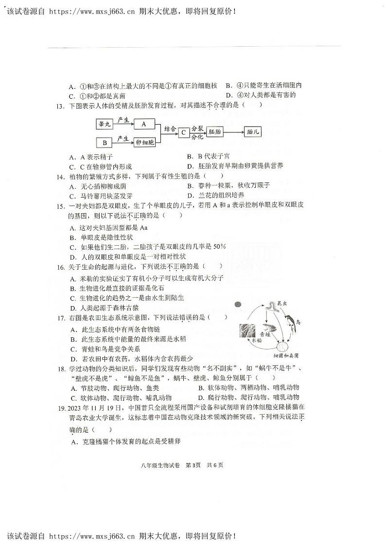 28，2024年河南省安阳市中考二模生物试题03