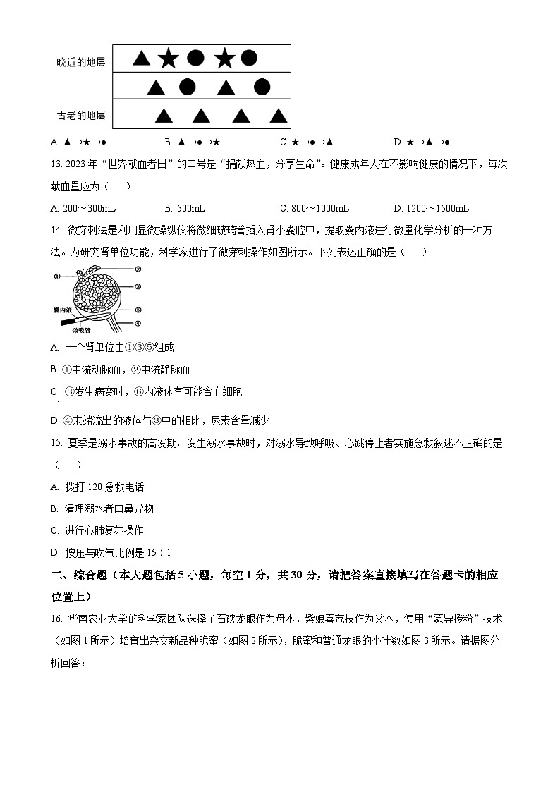 2024年广西柳州市柳南区中考二模生物试题（学生版+教师版）03