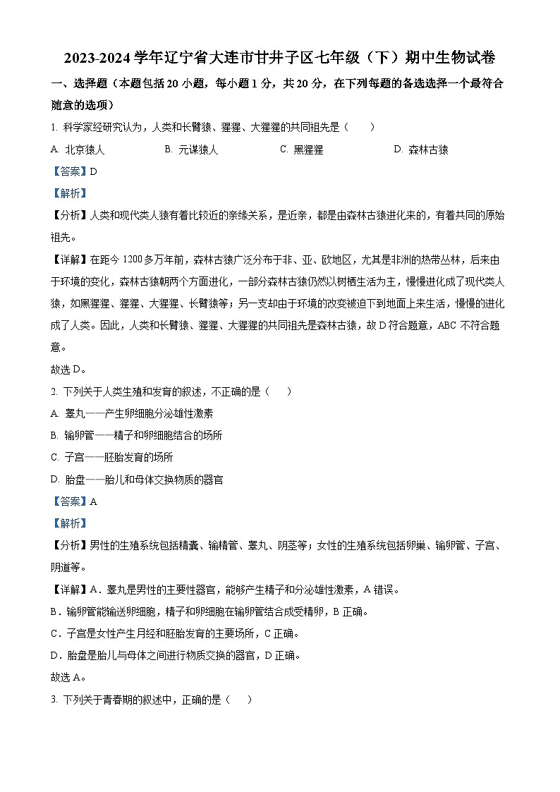 辽宁省大连市甘井子区2023-2024学年七年级下学期期中生物试题（学生版+教师版）01