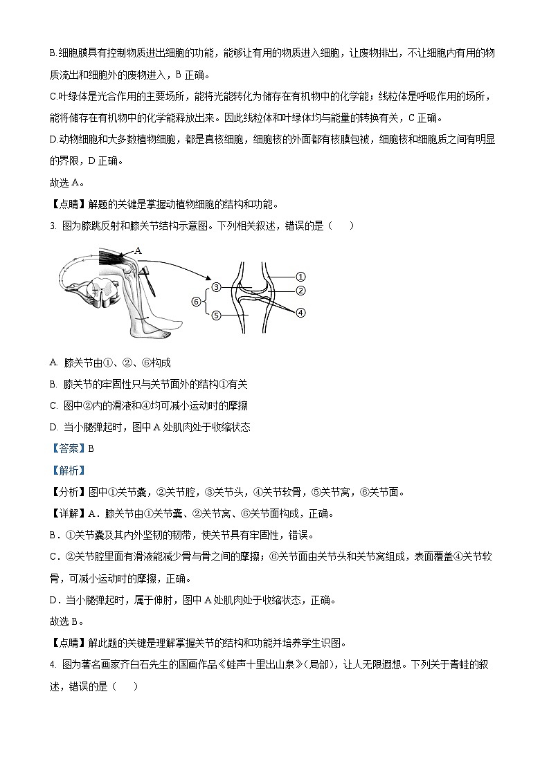 精品解析：四川省内江市2020年中考生物试题（原卷版+解析版）02