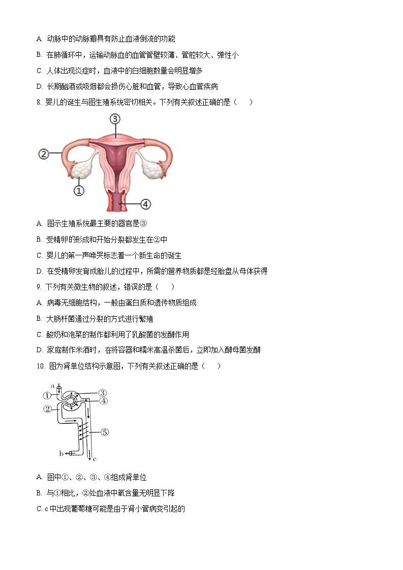 精品解析：四川省内江市2020年中考生物试题（原卷版+解析版）03
