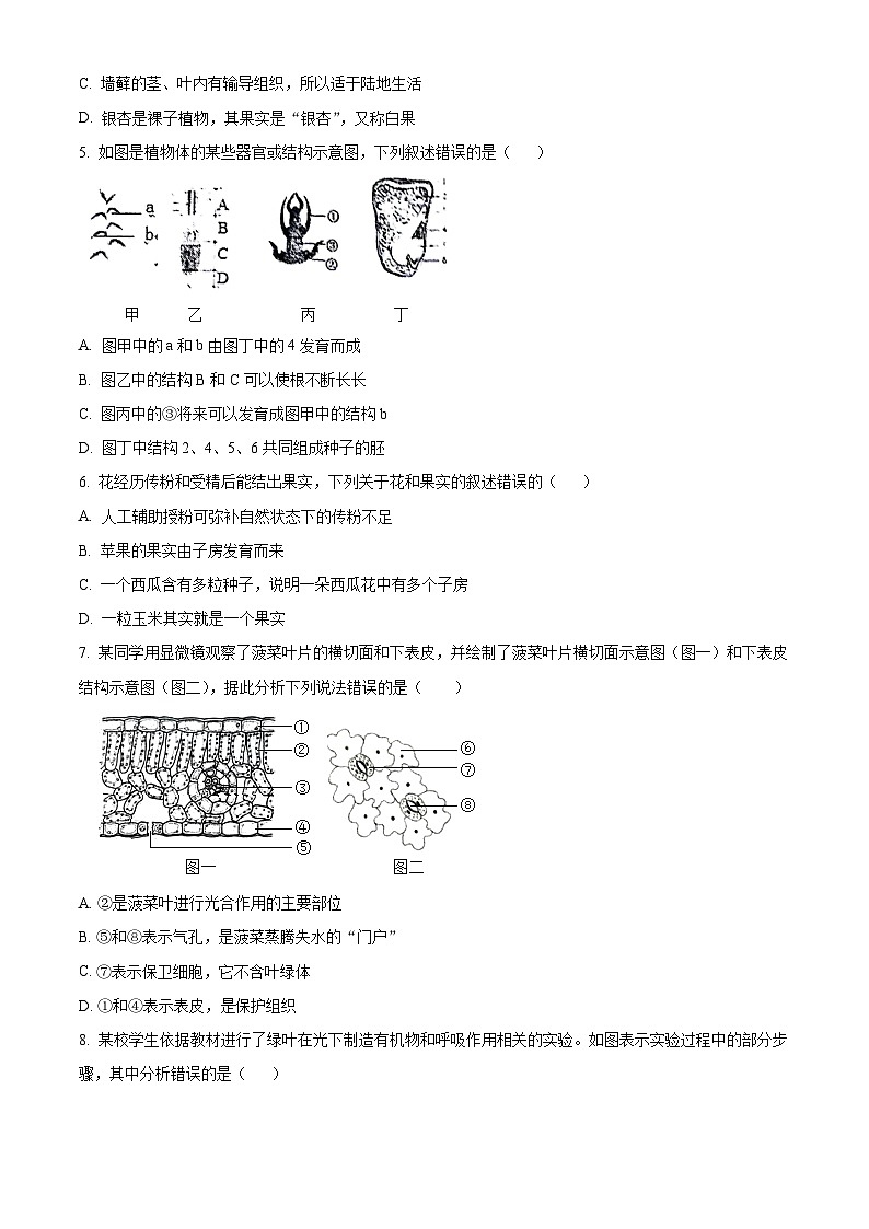2024年山东省临沂市罗庄区中考二模生物试题（学生版+教师版）02