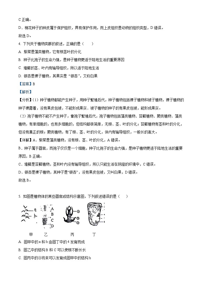 2024年山东省临沂市罗庄区中考二模生物试题（学生版+教师版）03