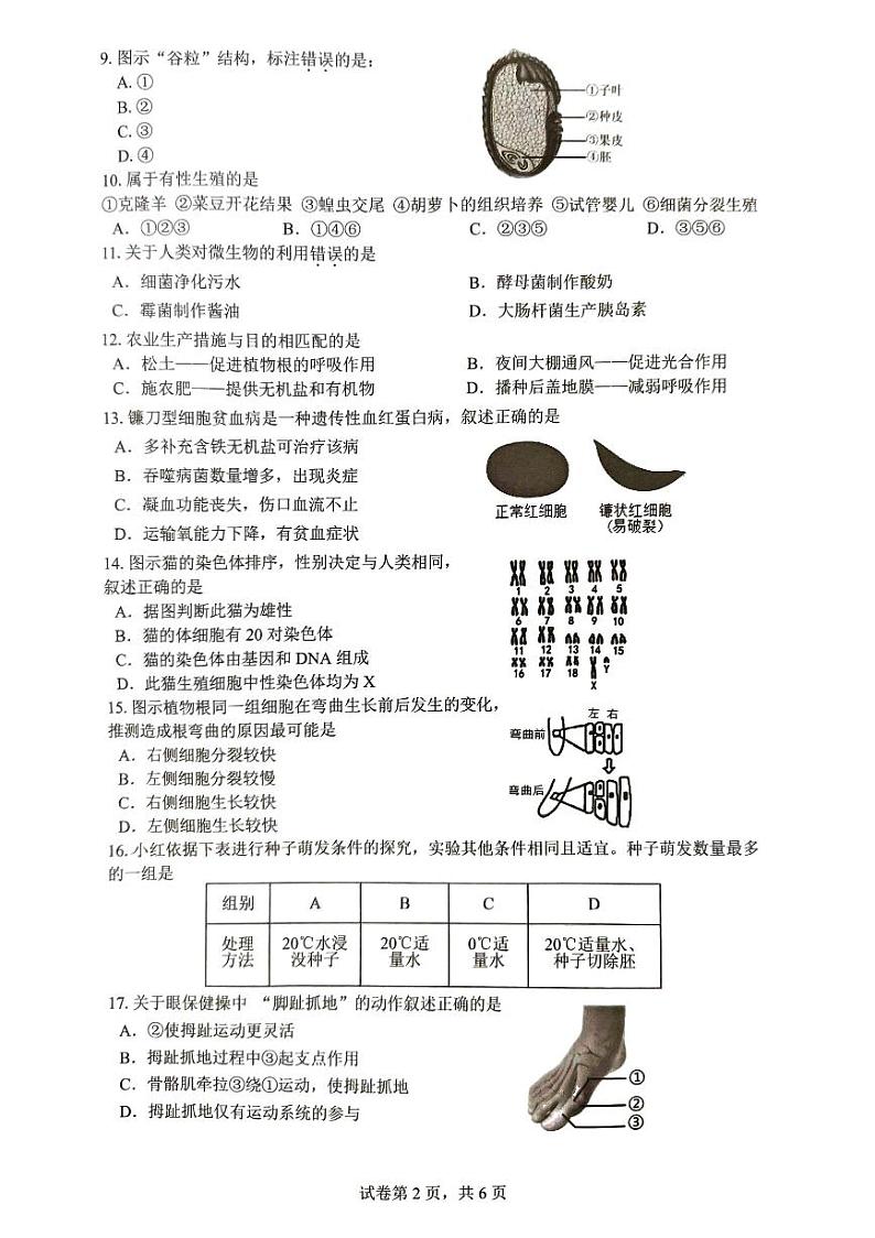 2024年福建省厦门市同安区初中毕业年级模拟生物试题第2页