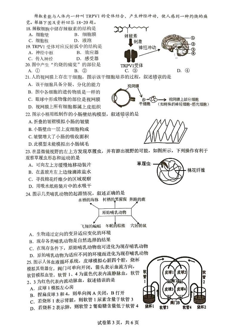 2024年福建省厦门市同安区初中毕业年级模拟生物试题第3页