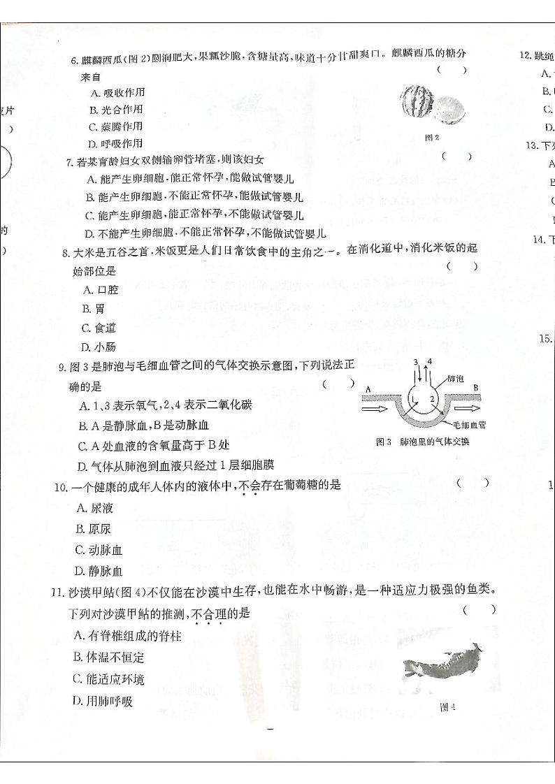 2024年江西省九江市永修县中考三模生物试题第2页