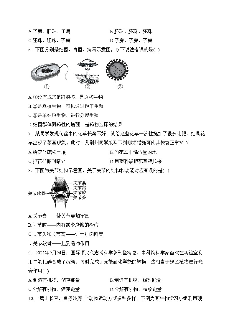 江西省吉安市九校2023-2024学年八年级下学期3月月考生物试卷(含答案)第2页