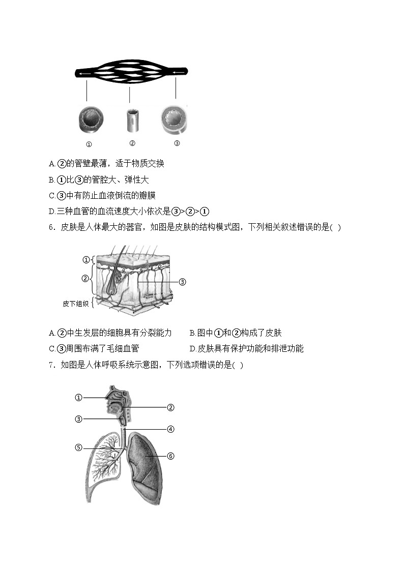辽宁省本溪市2023-2024学年七年级下学期4月期中考试生物试卷(含答案)第2页