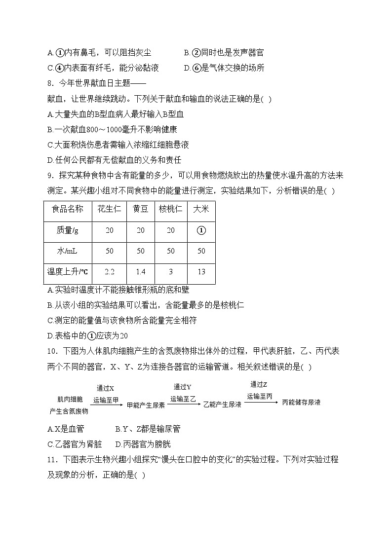 辽宁省本溪市2023-2024学年七年级下学期4月期中考试生物试卷(含答案)第3页