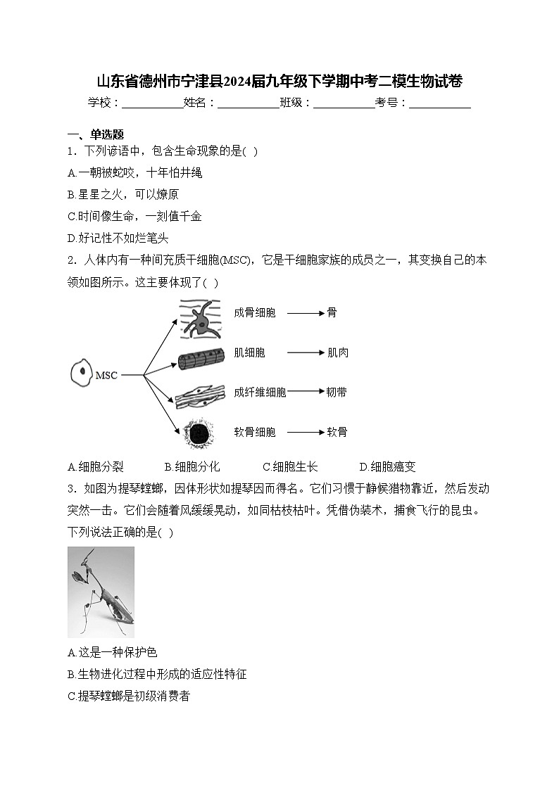 山东省德州市宁津县2024届九年级下学期中考二模生物试卷(含答案)01