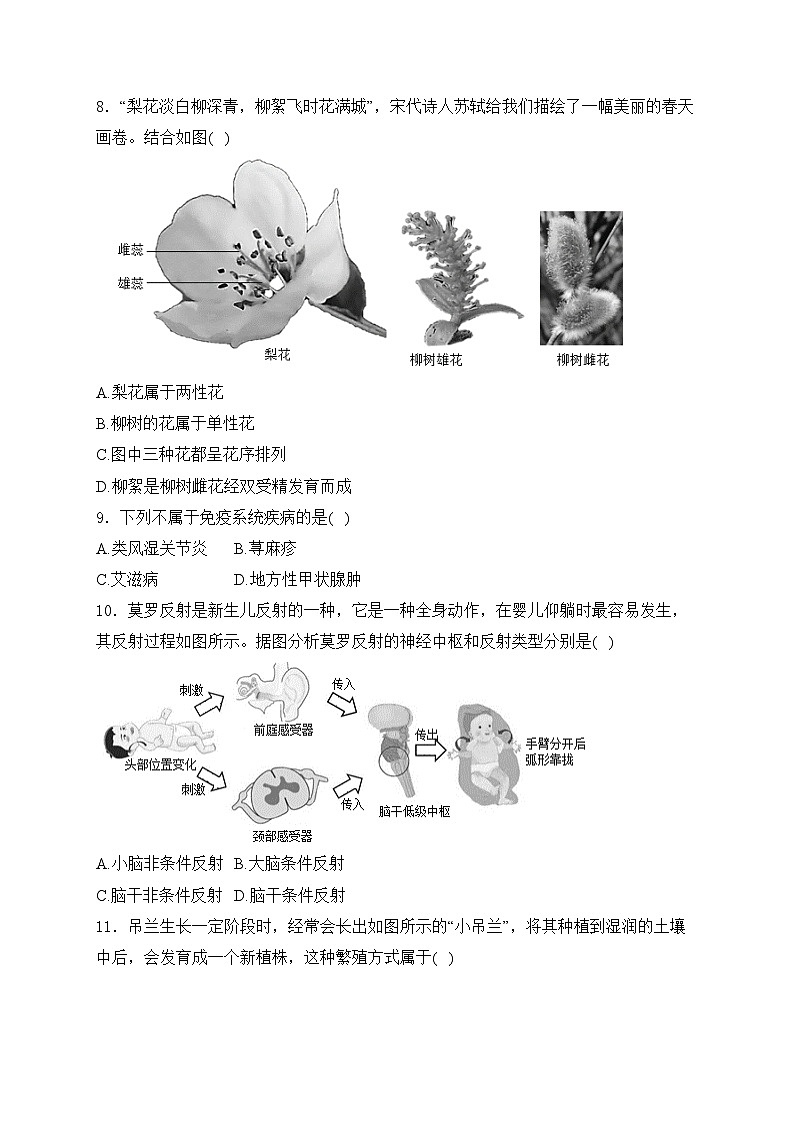 山东省德州市宁津县2024届九年级下学期中考二模生物试卷(含答案)03