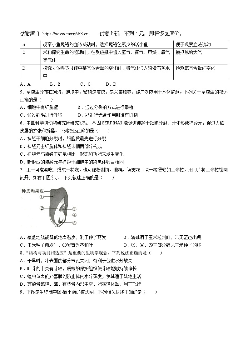 09，2024年陕西省榆林市子洲县中考二模生物试题02