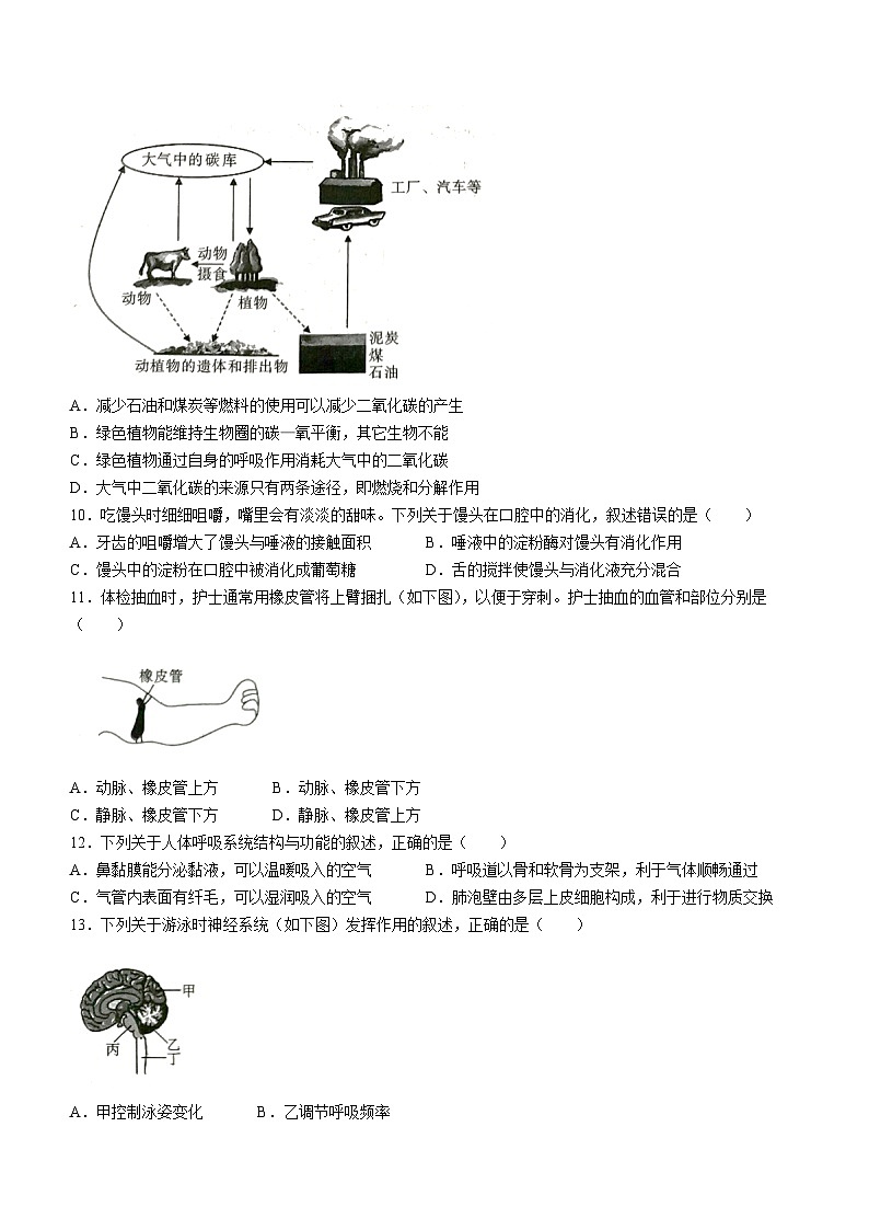 09，2024年陕西省榆林市子洲县中考二模生物试题03