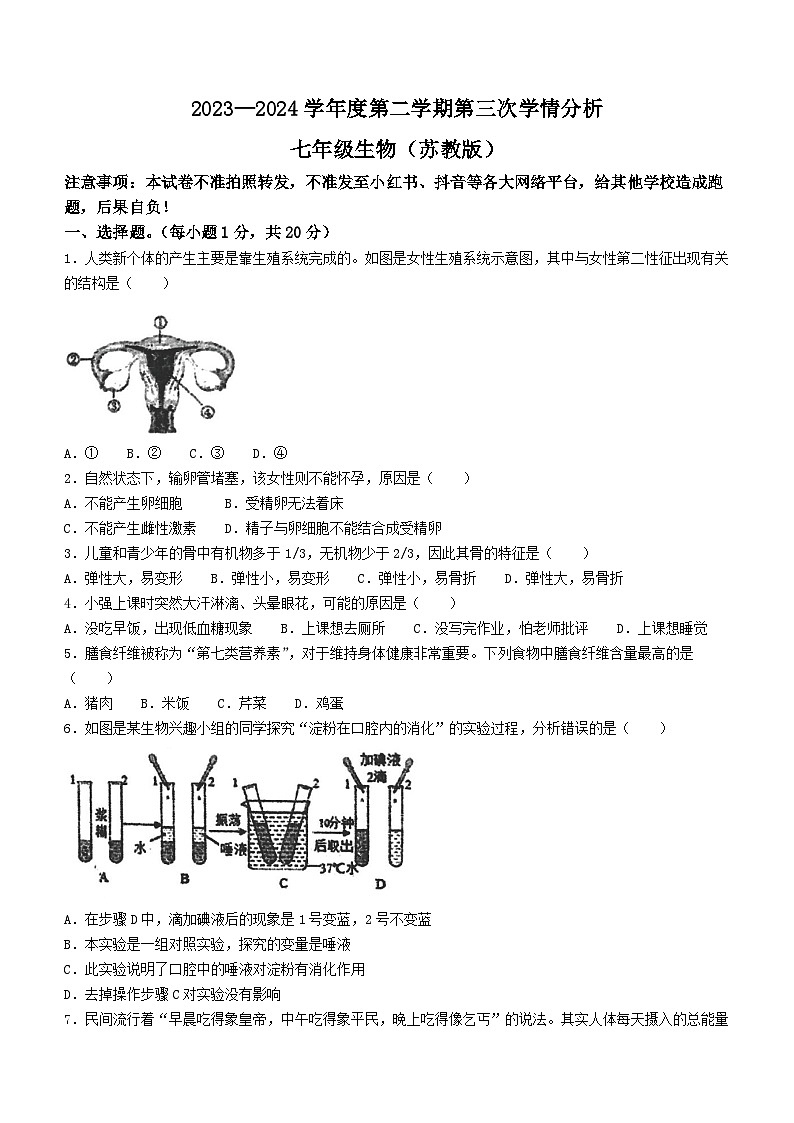 11，河南省周口市鹿邑县2023-2024学年七年级下学期5月月考生物试题第1页