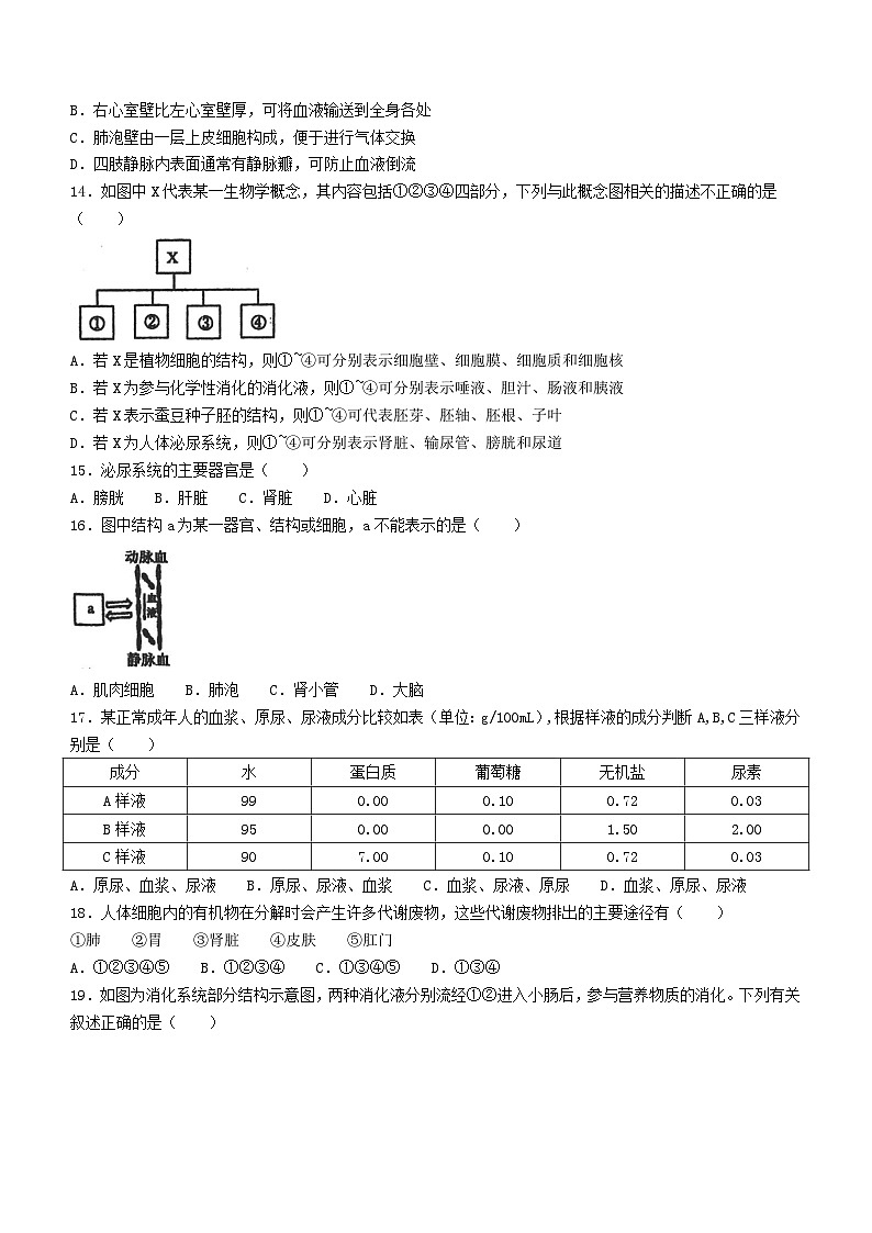 11，河南省周口市鹿邑县2023-2024学年七年级下学期5月月考生物试题第3页