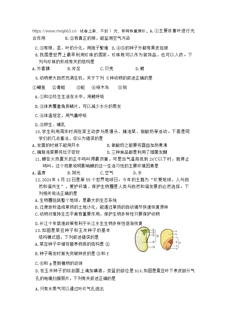 12，2024年江苏省扬中市中考二模生物试卷02