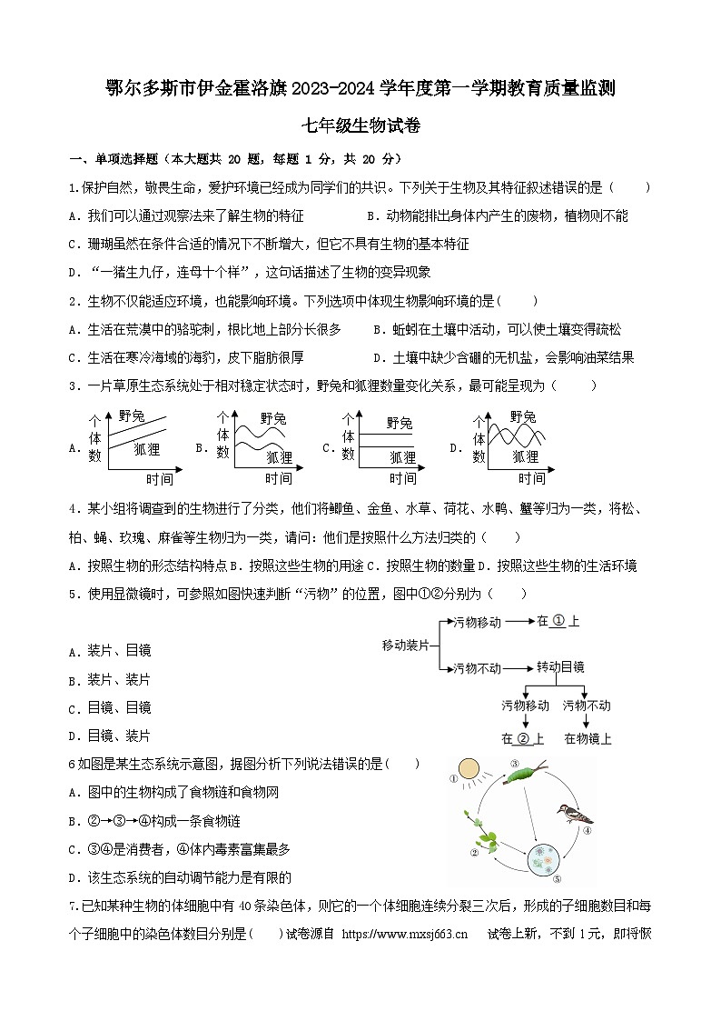 19，内蒙古鄂尔多斯市伊金霍洛旗2023-2024学年七年级上学期教育质量监测期中生物试题01