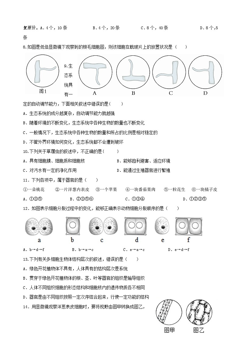 19，内蒙古鄂尔多斯市伊金霍洛旗2023-2024学年七年级上学期教育质量监测期中生物试题02
