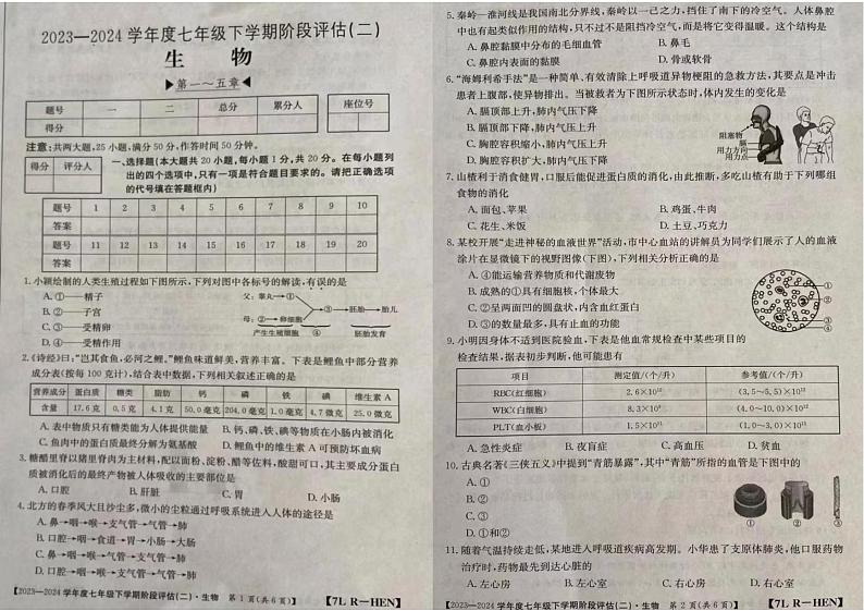 29，河南省许昌市禹州市2023-2024学年七年级下学期第二次月考生物试题01
