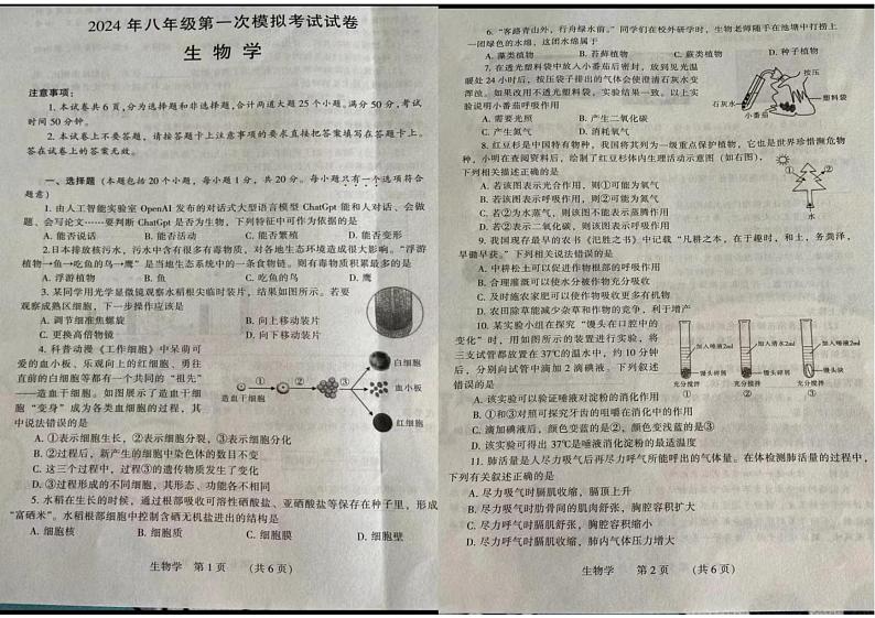 30，河南省许昌市禹州市2023-2024学年八年级下学期第一次月考生物试题01