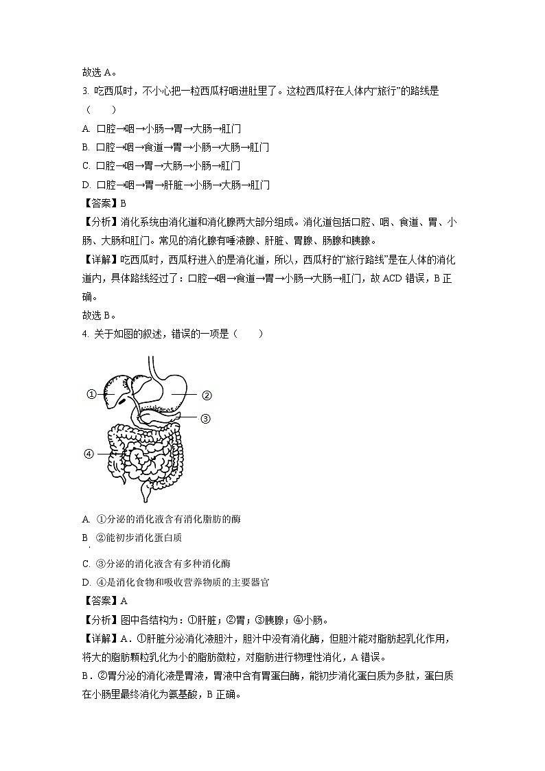 山东省菏泽市定陶区2023-2024学年七年级下学期期中生物试卷（解析版）02