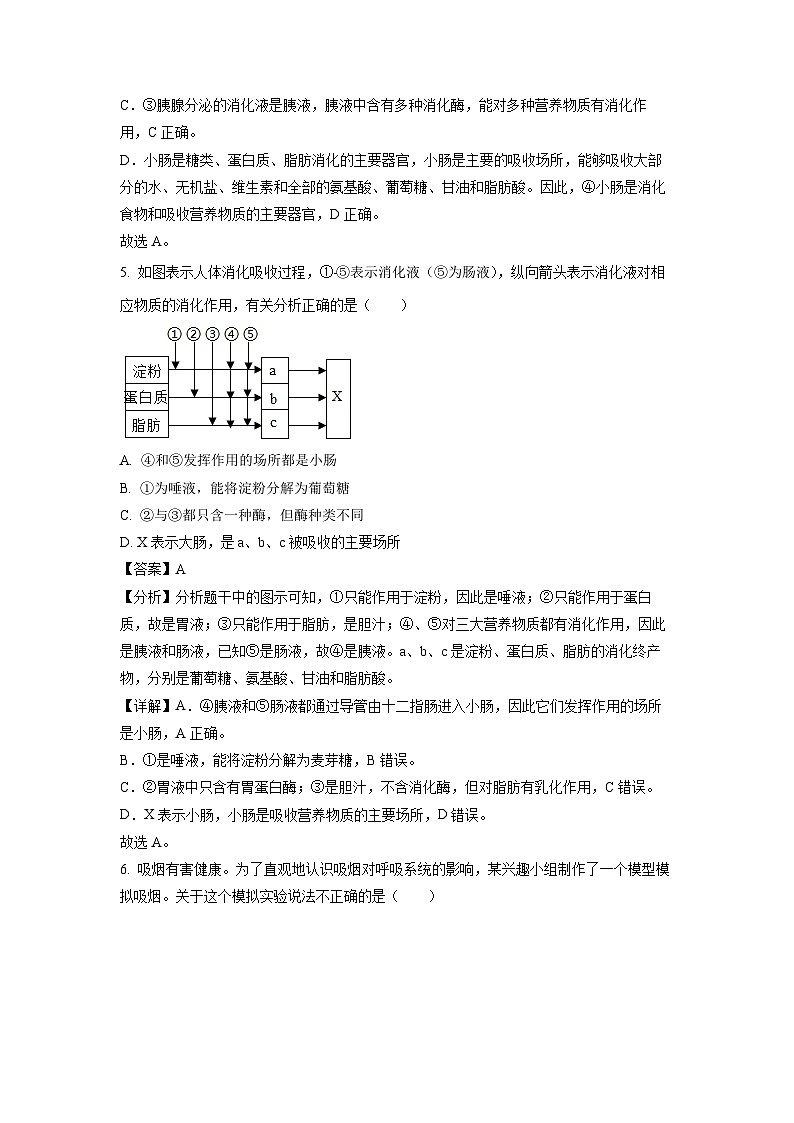 山东省菏泽市定陶区2023-2024学年七年级下学期期中生物试卷（解析版）03
