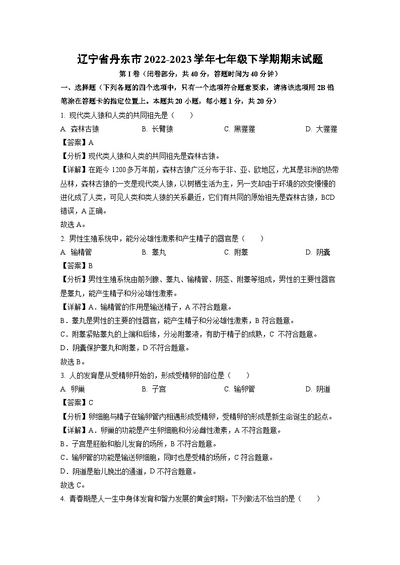 辽宁省丹东市2022-2023学年七年级下学期期末生物试卷（解析版）01